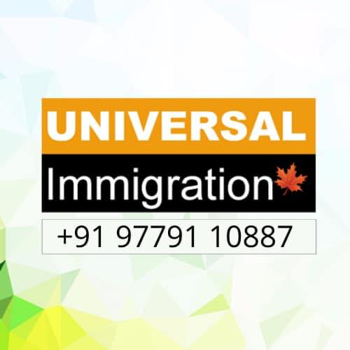 Universal Immigration Consultant Chandigarh